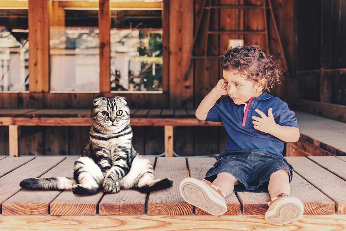 Les chats et les enfants: comment les faire interagir en toute sécurité ?